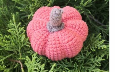 Little Pumpkin Crochet Pattern