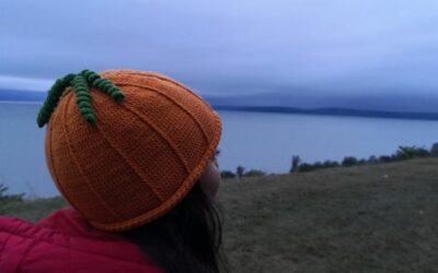 Crochet Pumpkin Hat